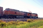 BNSF 4432 & BNSF 5494